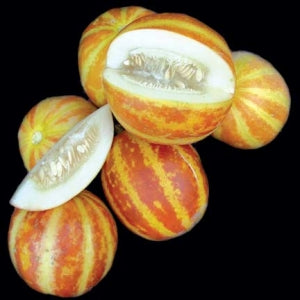 Plum Granny Melon