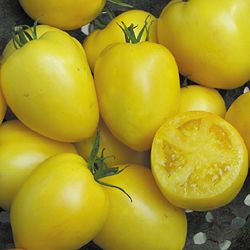 Powers Heirloom - Tomat