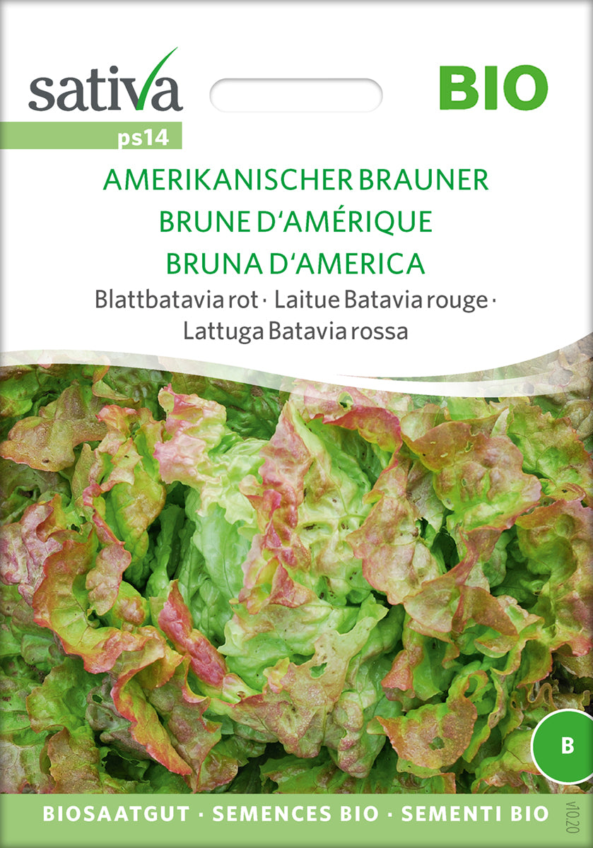 Salat - American Brown - ØKO