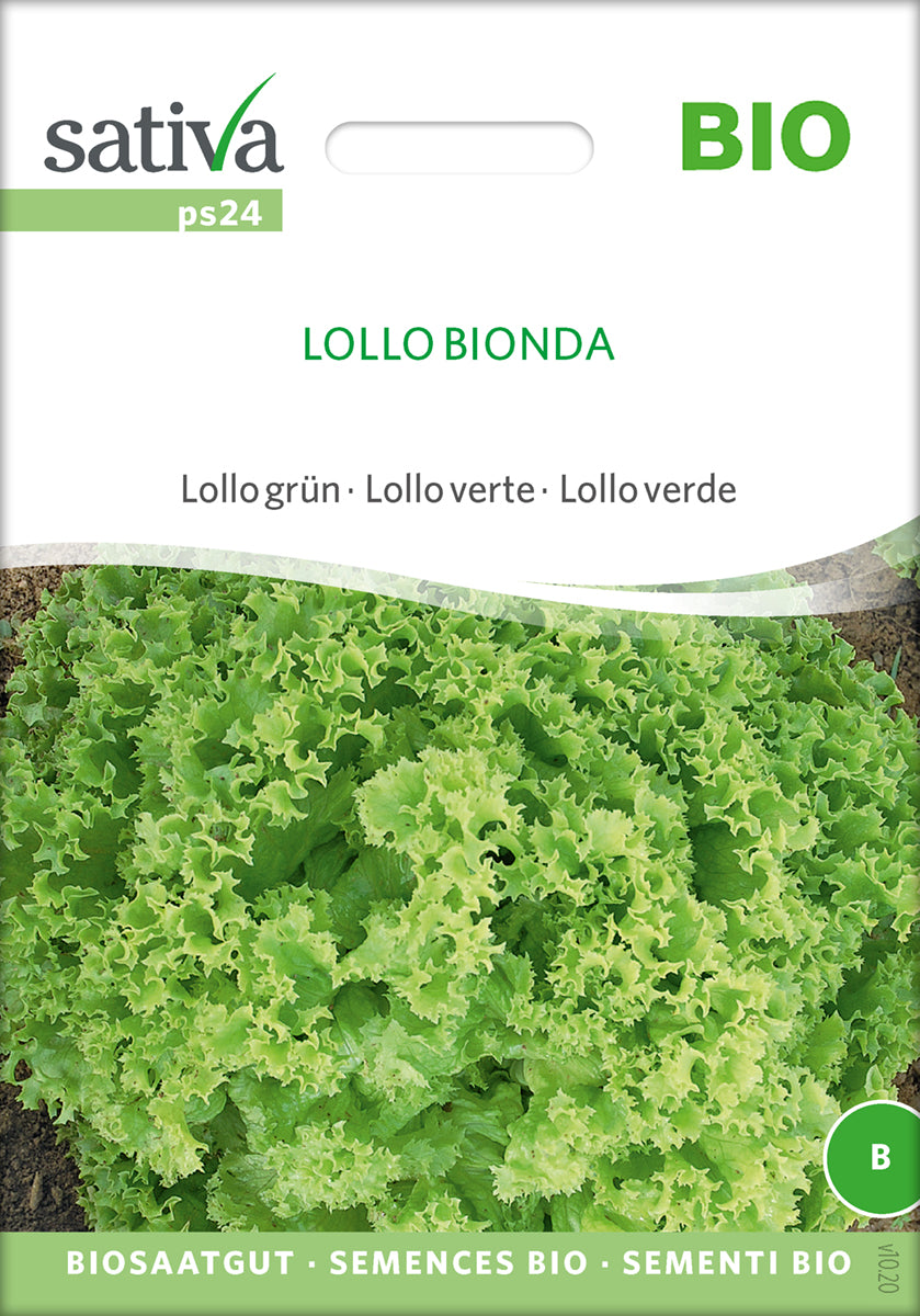 Salat - Lollo Bionda - ØKO