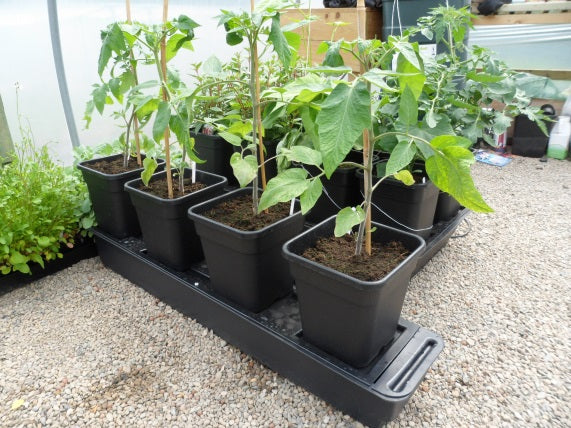 QUADGROW system - slim 2 stk