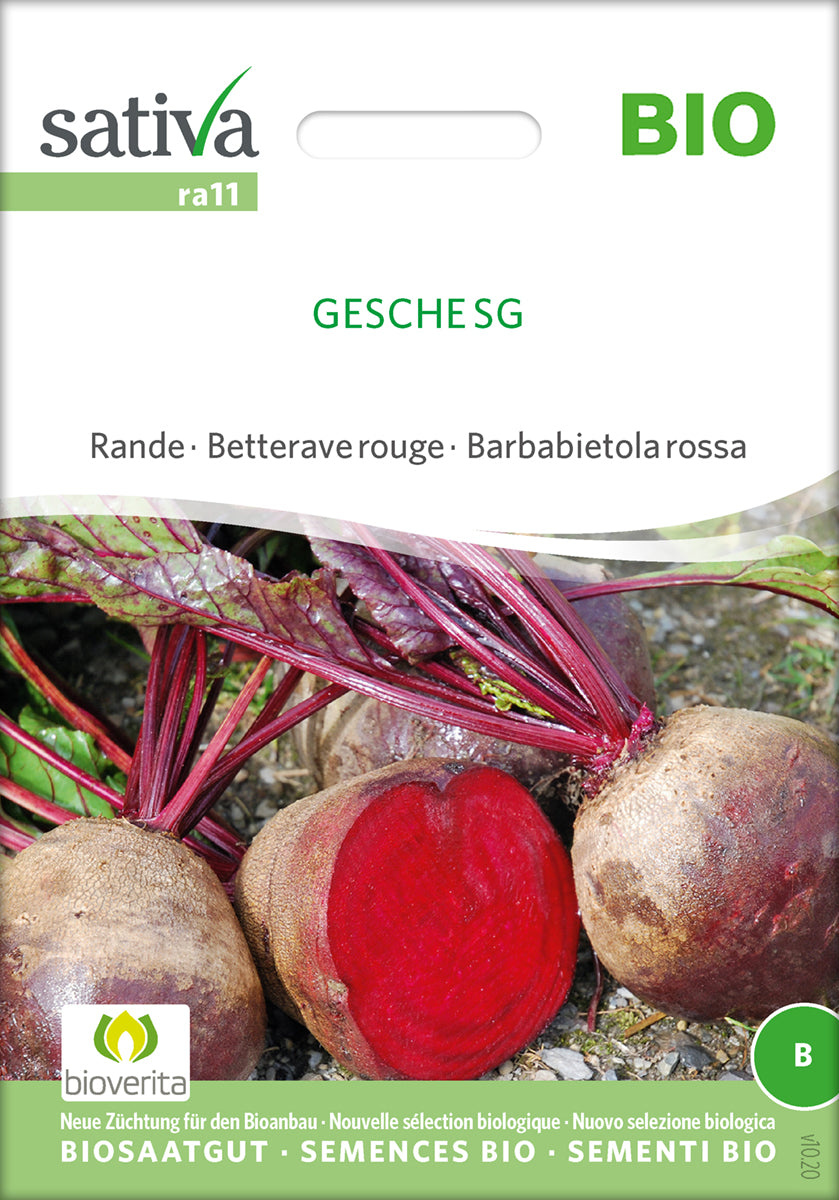 Rødbede - Gesche Sg - ØKO