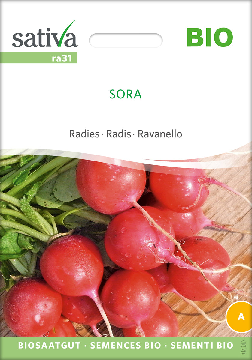 Radise - Sora - ØKO