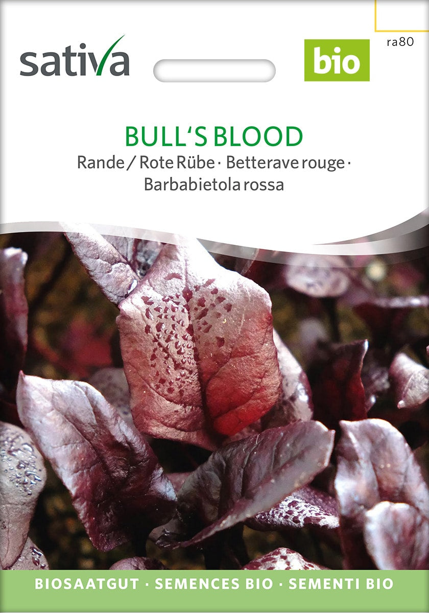 Rødbede - Bull's Blood - ØKO