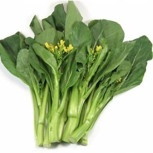 Kinesisk Broccoli - Kailaan kichi - Brassica oleracea