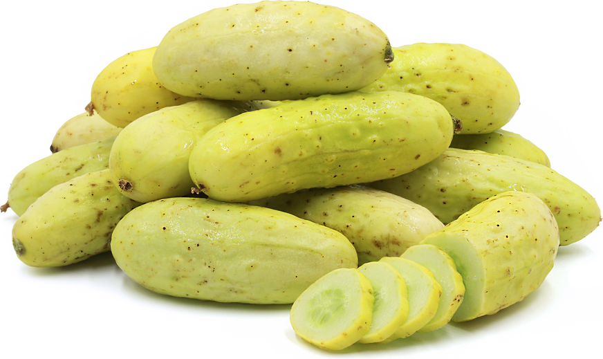 Salt &amp; Pepper - Agurk - Organic