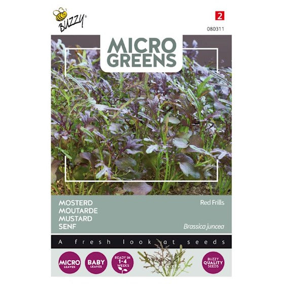 Micro Greens - Bladsennep Red Frills