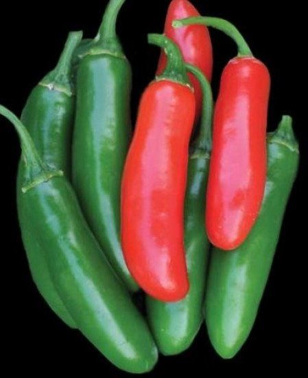 Serrano Tampiqueno Chilli
