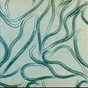 Nematoder mod Sørgemyg