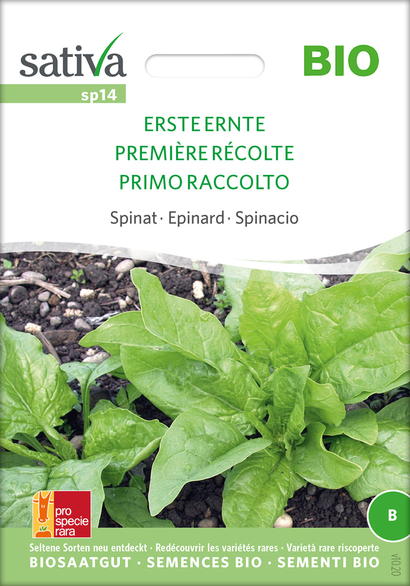 Spinat - FIRST HARVEST - ØKO