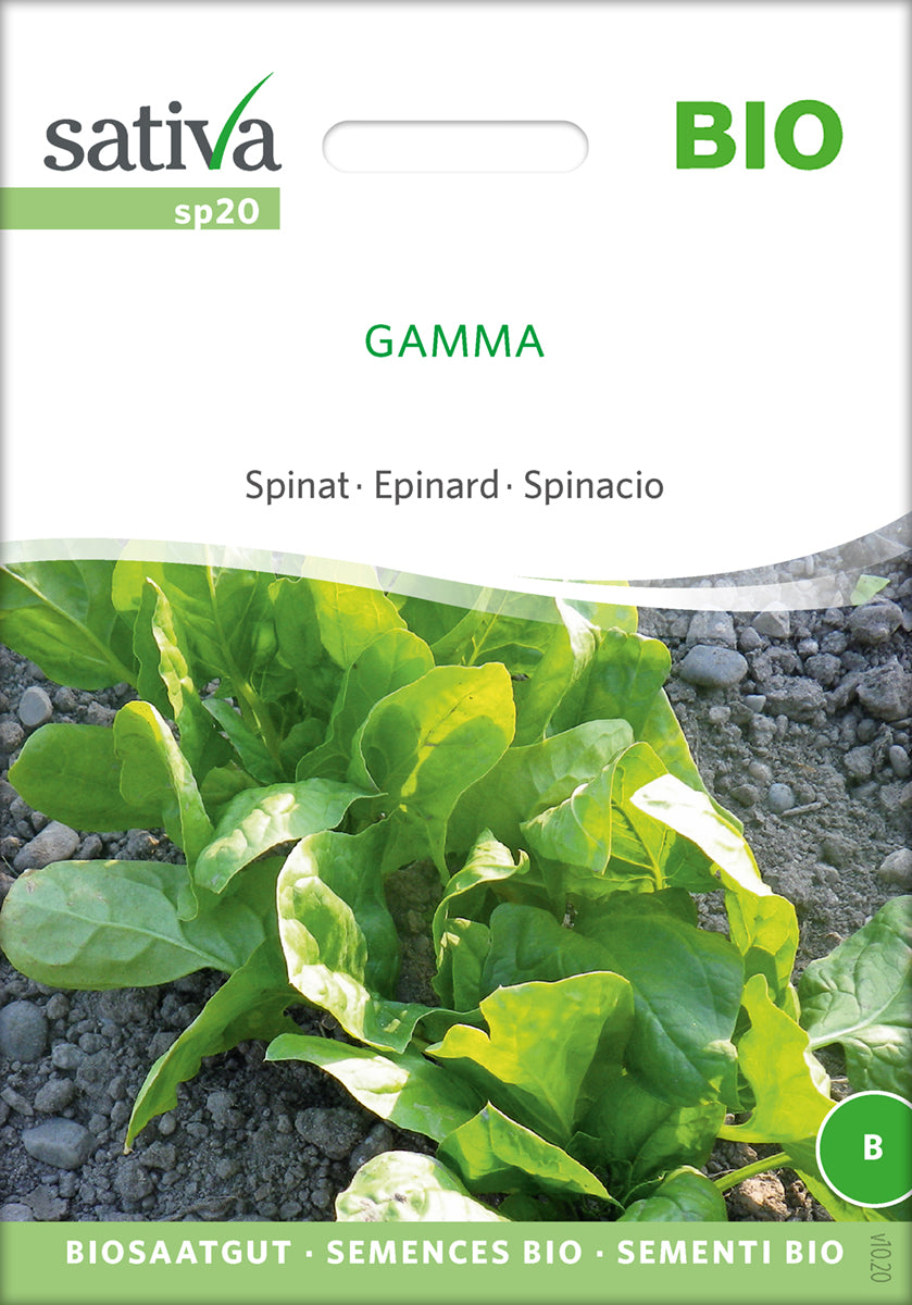Spinat - Gamma - ØKO