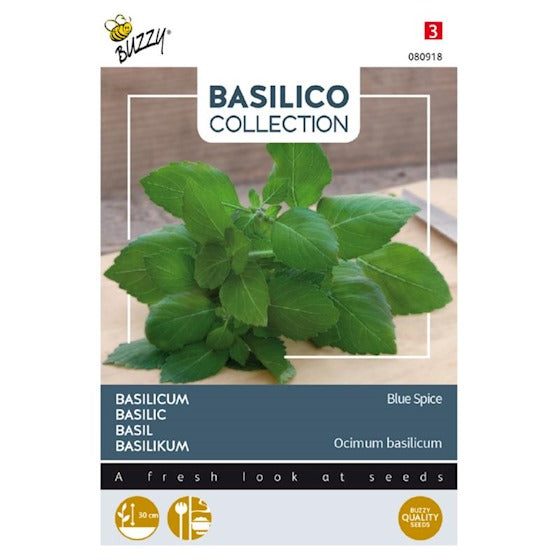 Basilikum - Blue Spice