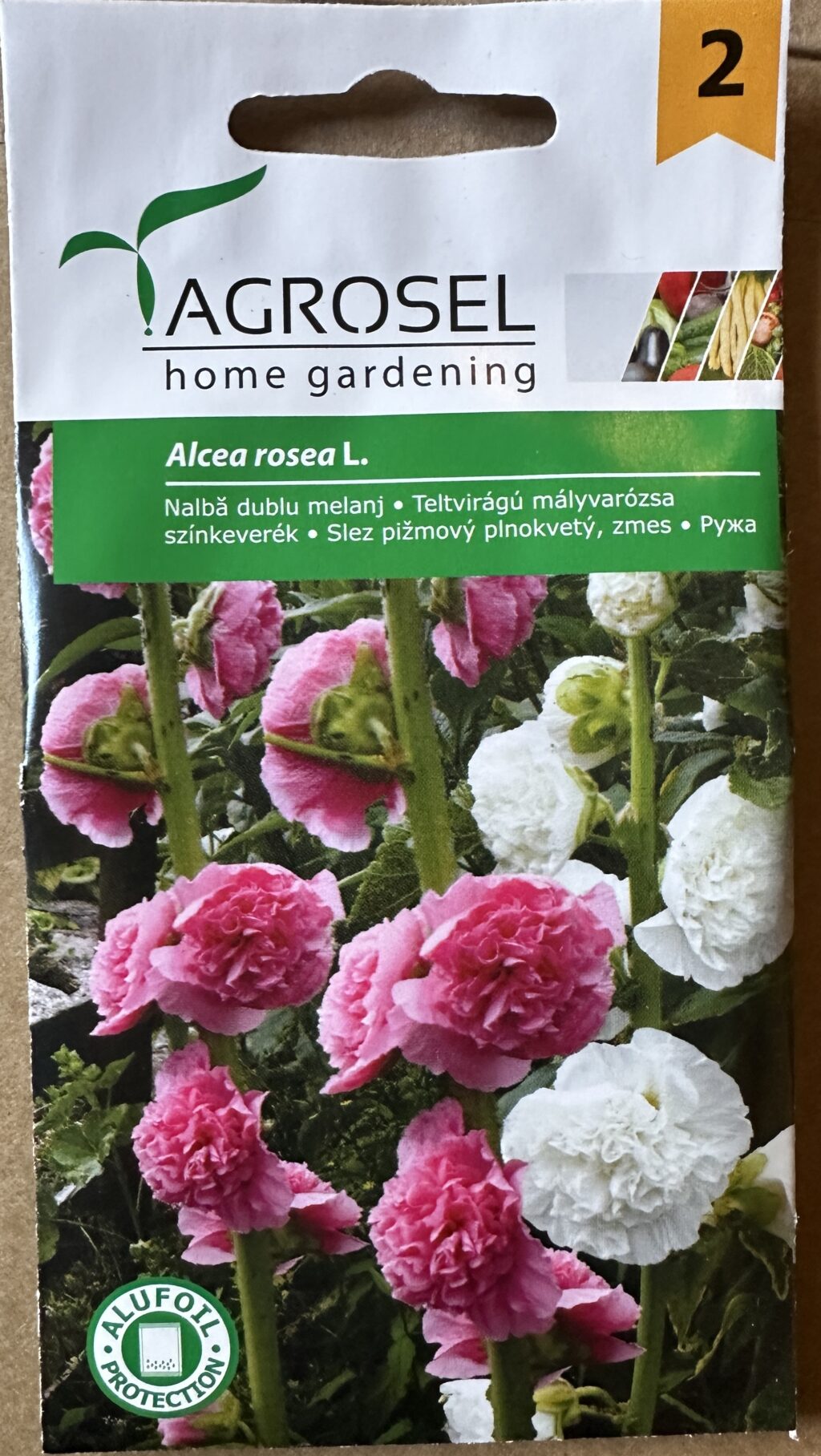 Stok Rose - Alcea Rosea L.