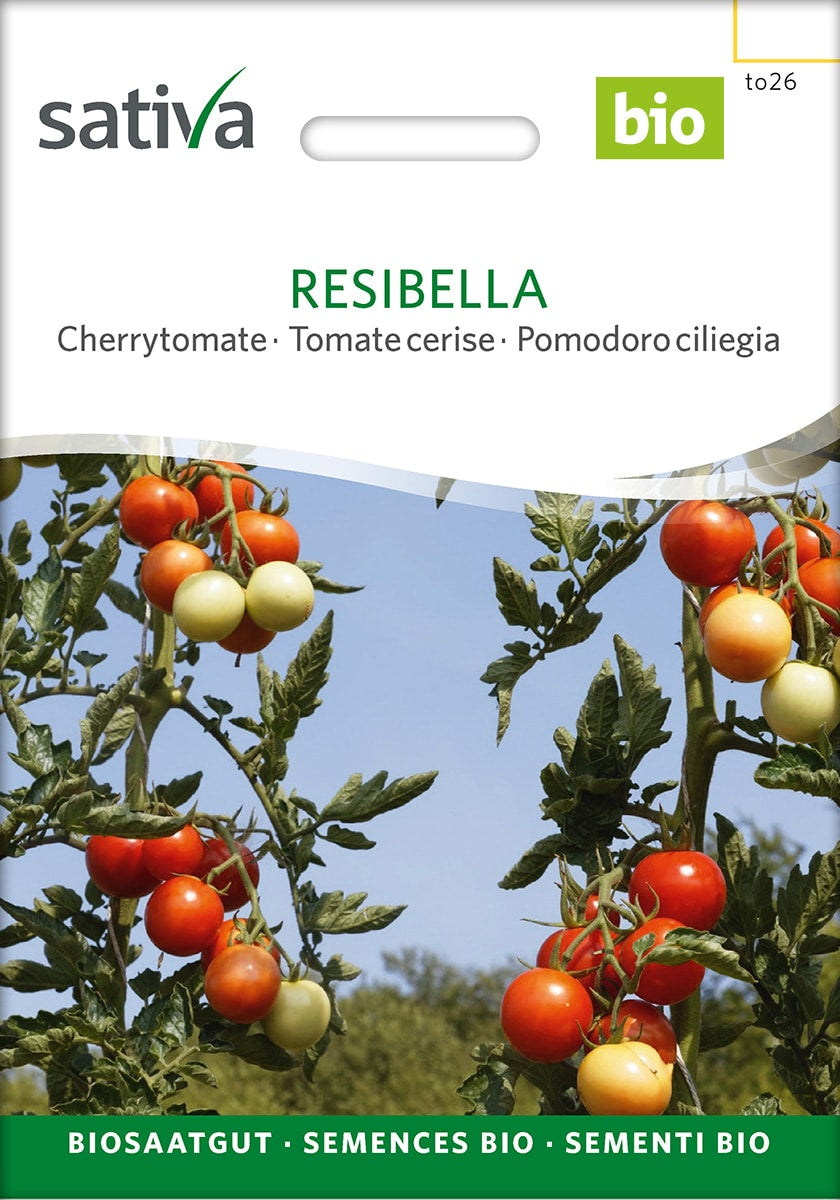 Tomat - Resibella - ØKO
