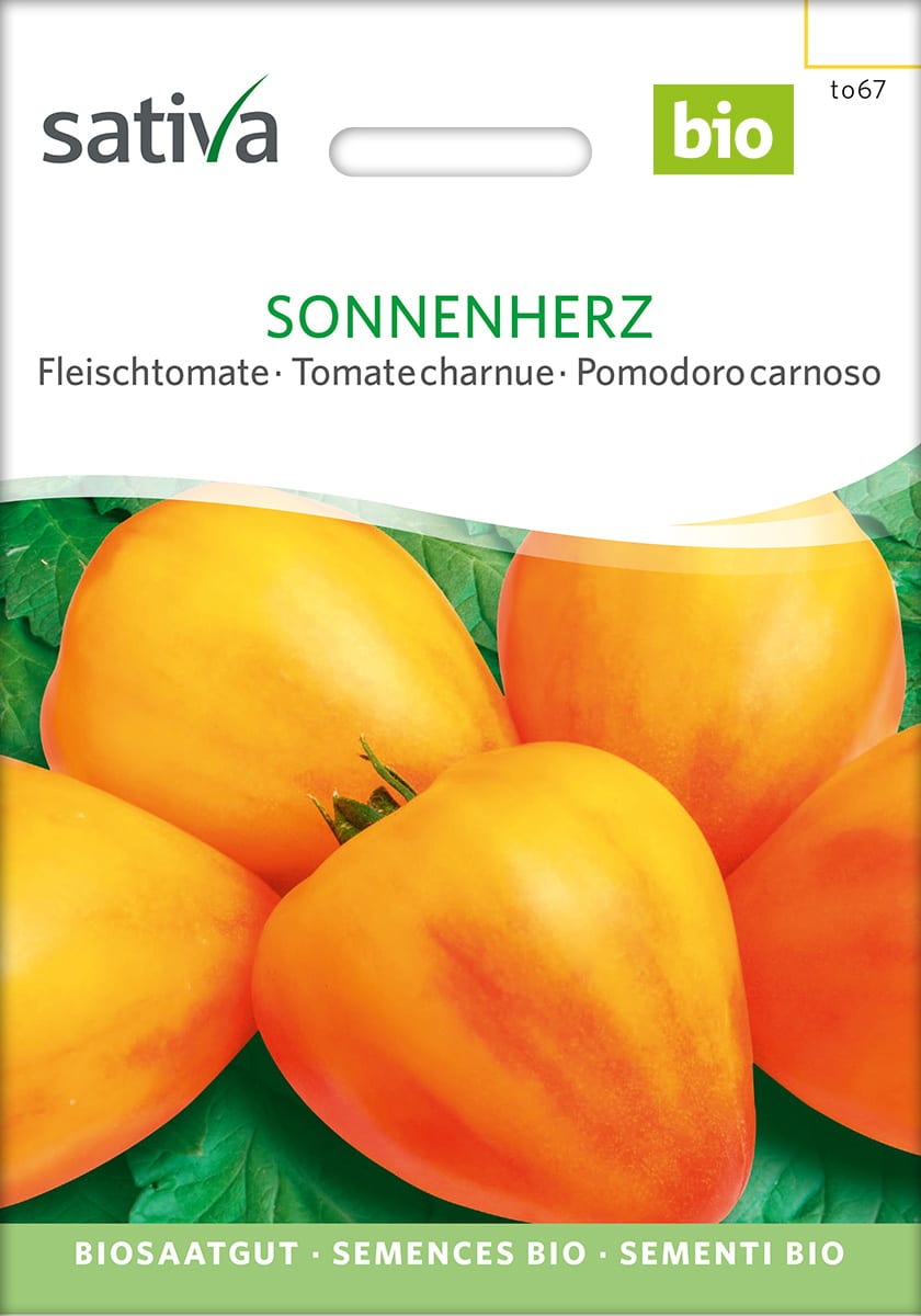 Tomat - Sonnenhertz - Bøftomat - ØKO