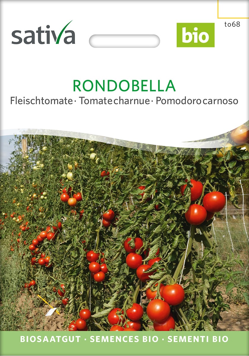 Tomat - Rondobella - ØKO