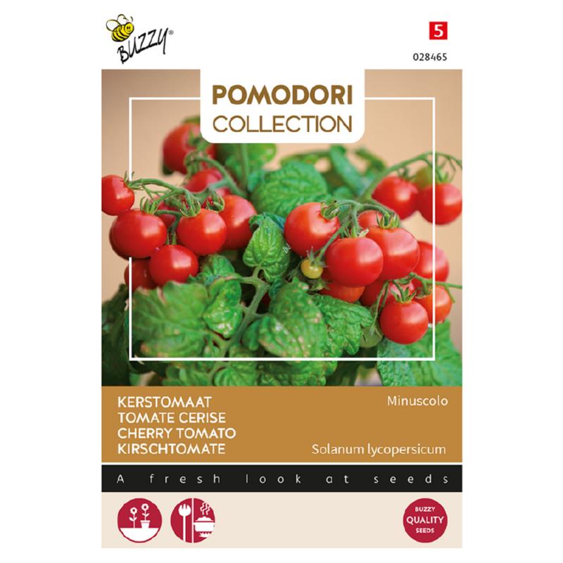 Tomat - Micro Tom F1