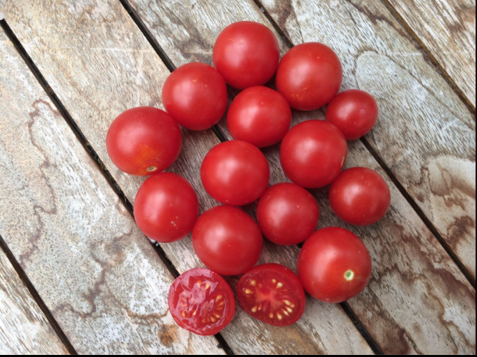 Window Box Red - Tomat