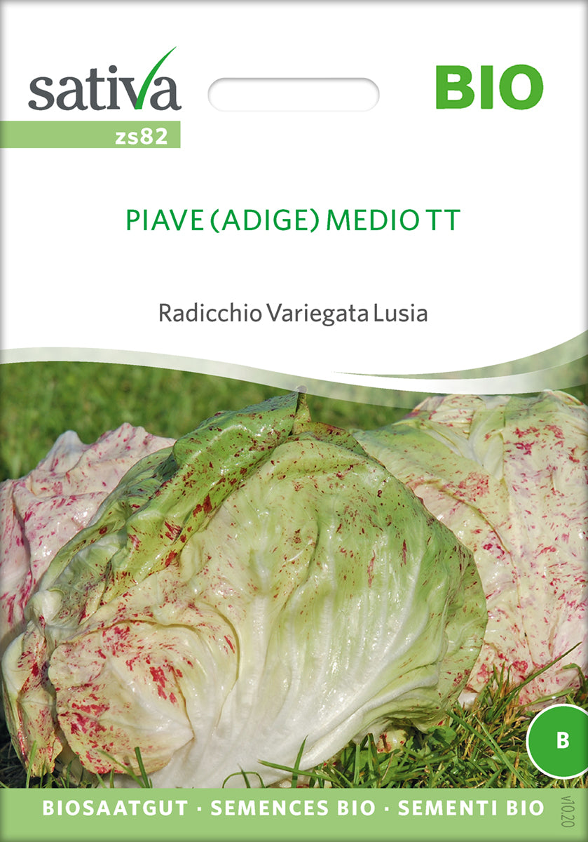 Salat - PIAVE MEDIO TT - ØKO
