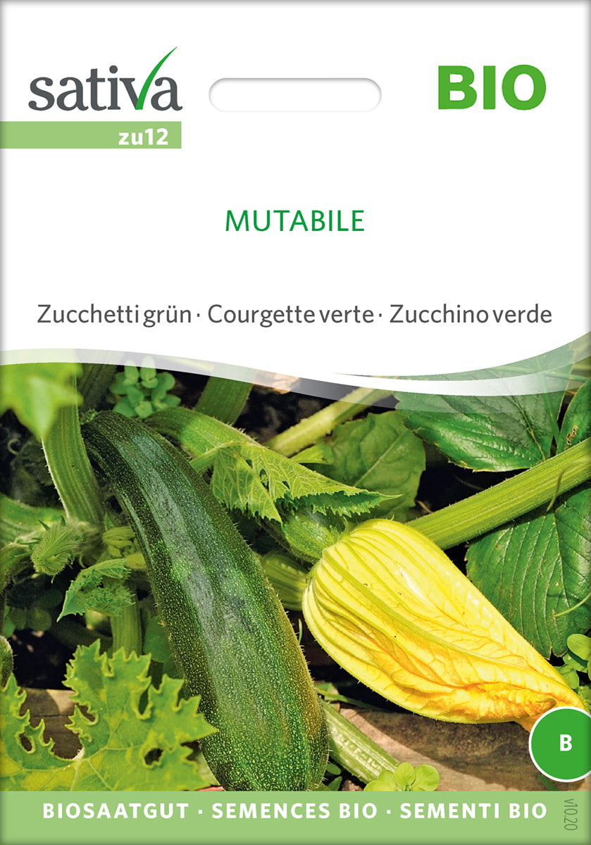 Squash - MUTABILE- ØKO
