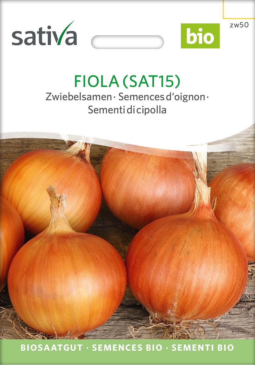 Løg - Fiola - ØKO